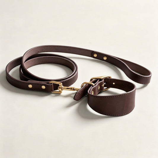Genuine Leather Wide Dog Collar and Leash Set for Greyhounds | Padded Anti-Pull Pet Collar