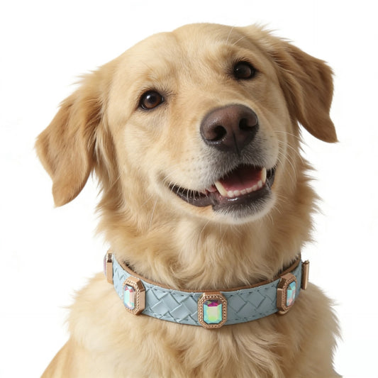 Braided Leather Pet Collar and Leash Set with Rhinestones